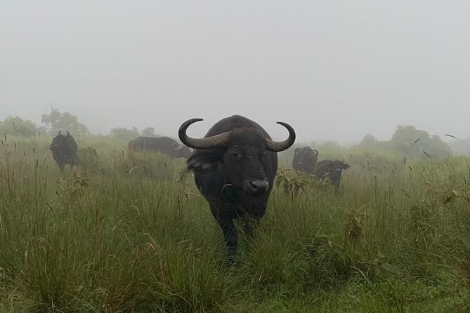 03 days Serengeti and Ngorongoro Crater group (camping) - What $815 buys you on this short safari