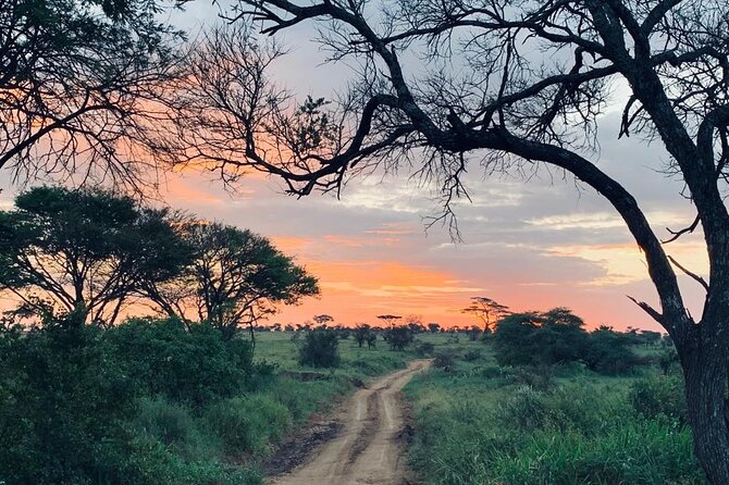 03 days Serengeti and Ngorongoro Crater group (camping) - The guides, vehicle, and day-to-day service