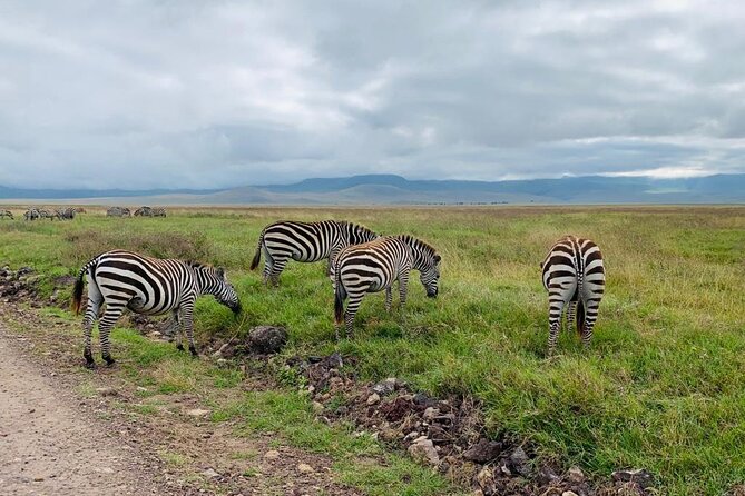 04 Days Tarangire, Serengeti and Ngorongoro crater group (Camping - Day 2: Crossing to Serengeti through Nabi Hills