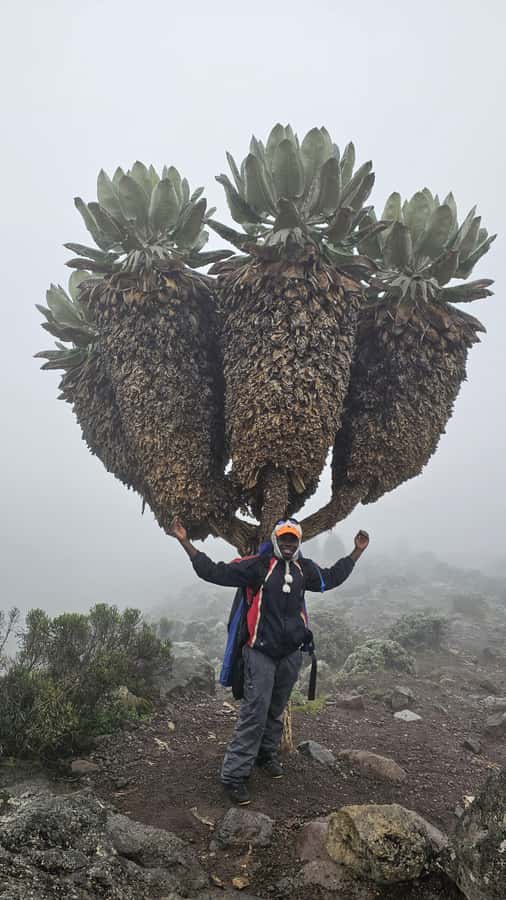 #1. Best Kilimanjaro Day hike Tour-Machame Route-ISMANI - Guides who make the climb more manageable