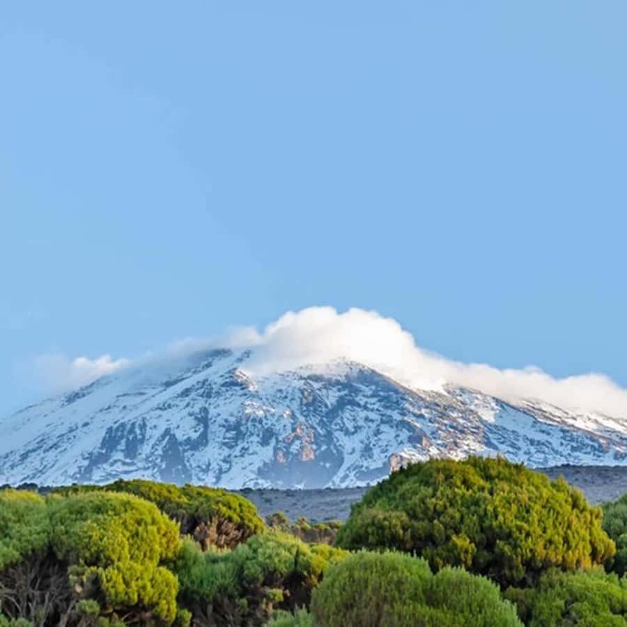 #1. Best Kilimanjaro Day hike Tour-Machame Route-ISMANI - From Moshi to Machame Gate