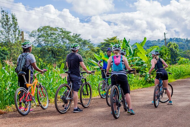 1-Day Moshi Villages bike tour - Who should book this ride