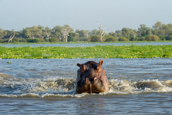 1-Day Selous (Nyerere National Park) Fly-In Safari from Zanzibar - Is $550 good value?