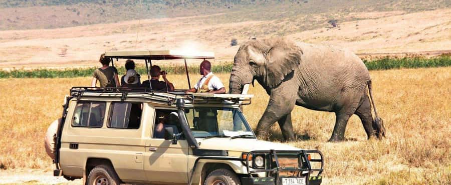 2-Day Private Luxury Safari from Zanzibar with Flights - A two-day safari with a clear purpose