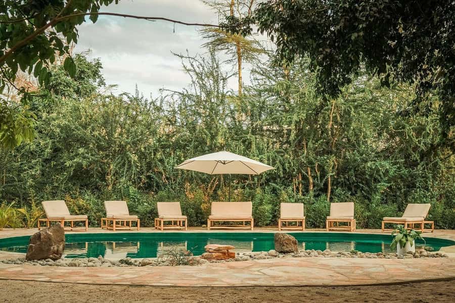 2-Day Private Luxury Safari from Zanzibar with Flights - Tarangire’s elephants and open country