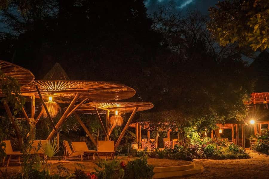 2-Day Private Luxury Safari from Zanzibar with Flights - Returning to Zanzibar after the crater