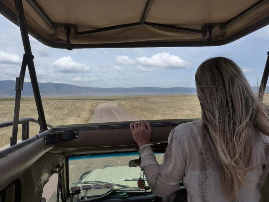 2-Day Private Luxury Safari from Zanzibar with Flights - The most important concern: communication