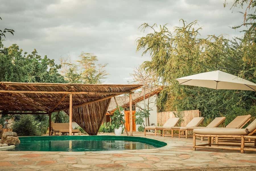 2-Day Private Luxury Safari from Zanzibar with Flights - Flying from Zanzibar to Arusha