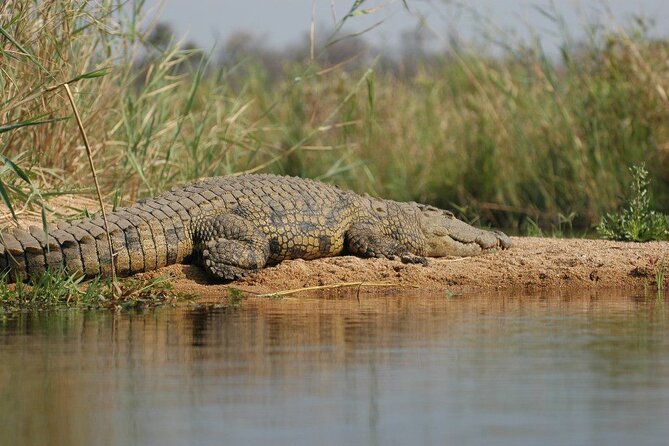 2-Day Private Mikumi National Park Tour with Pickup - The drive back to Dar es Salaam
