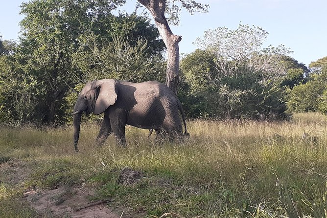 2 Day safari to Mikumi departure from Zanzibar - What this Zanzibar to Mikumi trip is really like