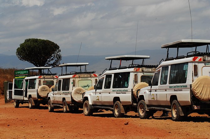 2 Day Serengeti Safari Experience from Mwanza - Leaving Mwanza for Ndabaka Gate