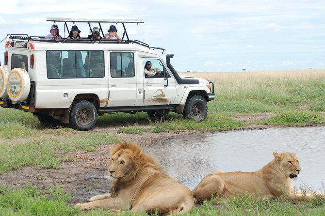 2 Day Serengeti Safari Experience from Mwanza - Is $1,364.11 a fair price?