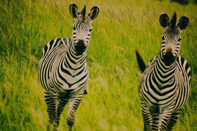 2 Days 1 Night Mikumi National Park from Dar es salaam - The return through Morogoro
