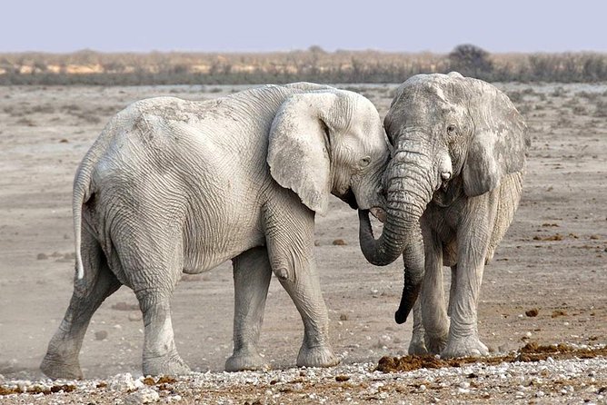 2 Days Group Joining Camping Safari Tarangire Park and Ngorongoro Crater - Descending into Ngorongoro Crater