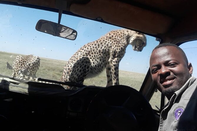 2 Days Group Joining Camping Safari Tarangire Park and Ngorongoro Crater - Camping at Kizumba Campsite