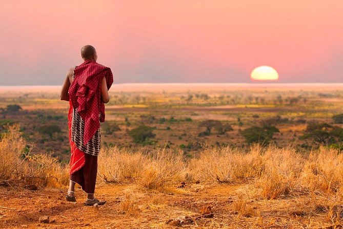 2 days Mid Range Safari in Ngorongoro and Tarangire Big 5 Parks - Two parks, one fast and rewarding safari