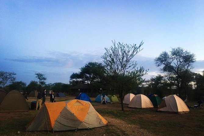 2 days Mid Range Safari in Ngorongoro and Tarangire Big 5 Parks - Day two: the Ngorongoro Crater