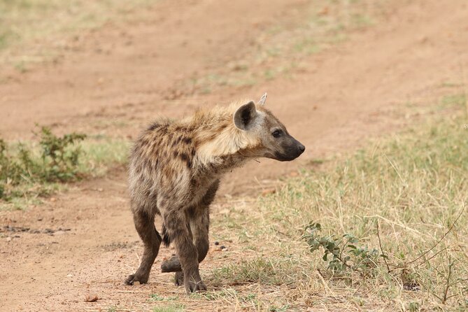 2 Days Tarangire and Ngorongoro Group Camping Safari - Camping near Ngorongoro and why the location matters