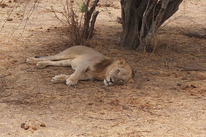2 nights 3 days safari to mikumi national park - Day 1: The long road from Dar es Salaam to Mikumi