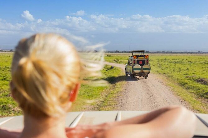 3 Day Classic, Guided Serengeti Safari - Returning to Arusha on day three