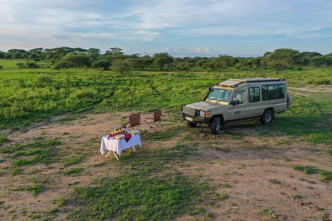 3-Day Classic Serengeti Safari - Who will get the most from this safari