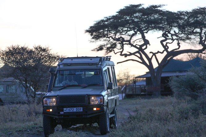3-Day Classic Serengeti Safari - A full eight hours across the Serengeti plains