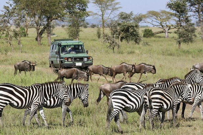 3-Day Ngorongoro Crater Manyara and Tarangire Safari from Arusha - Three parks, three very different safari settings
