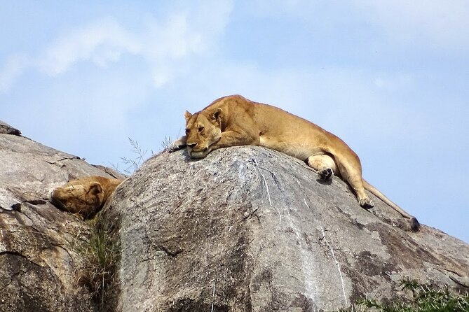 3-Day Ngorongoro Crater Manyara and Tarangire Safari from Arusha - Camping, meals, and the human side of the trip