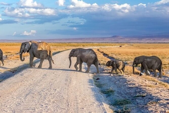 3-Day Ngorongoro Crater Manyara and Tarangire Safari from Arusha - Day 2: The Ngorongoro Crater game drive
