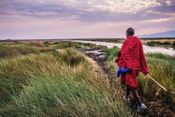 3 Days 2 Nights Group Joining Serengeti and Ngorogoro Safari - Food, water, and what to pack