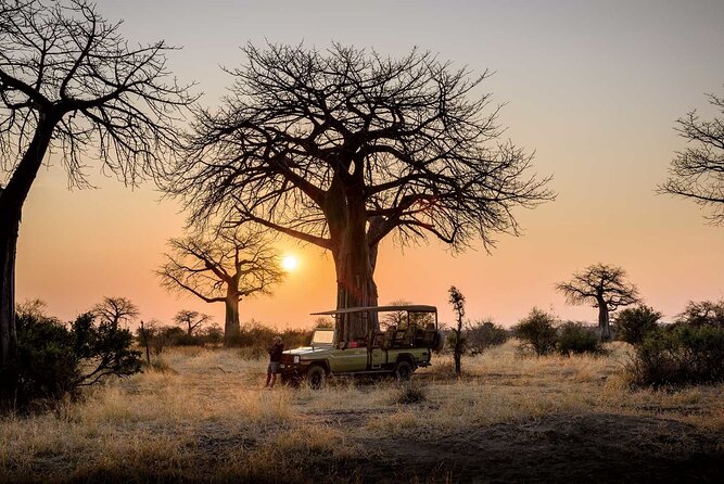 3 Days 2 Nights Group Joining Serengeti and Ngorogoro Safari - What the $900 price includes