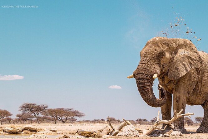 3 Days 2 Nights Group Joining Serengeti and Ngorogoro Safari - Who will enjoy this safari most