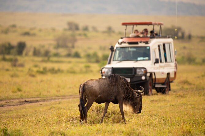3 days fly in safari - Seronera: The Main Wildlife Focus