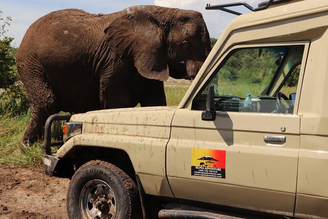 3 Days Private Safari - manyara, Ngorongoro & Tarangire - Day one: Lake Manyara beneath the Rift Valley escarpment