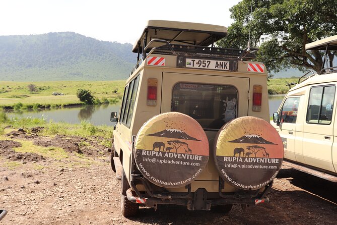3 Days Private Safari - manyara, Ngorongoro & Tarangire - Day three: elephants and baobabs in Tarangire