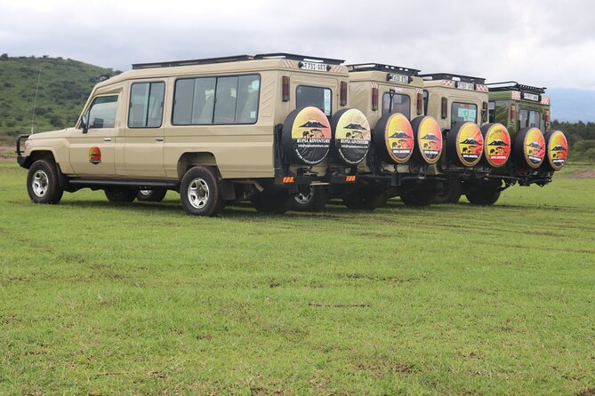 3 Days Private Safari - manyara, Ngorongoro & Tarangire - What the private setup really changes