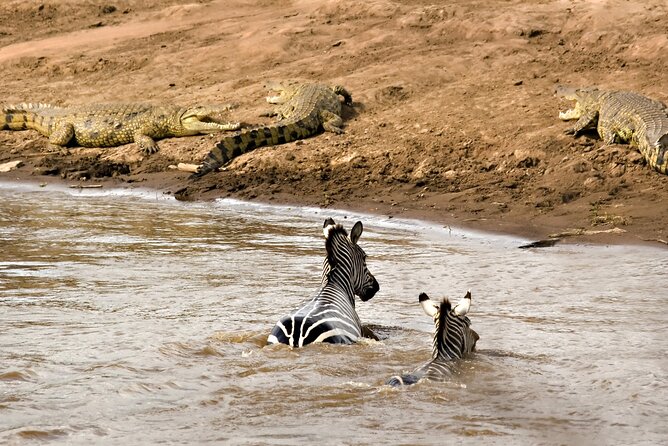 3 Days Safari Serengeti & Ngorongoro Crater - Day three: the crater and the search for black rhino
