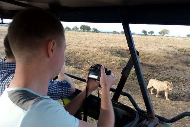 3 Days Safari to Mikumi NP - Accommodation Inside the Park - Who should book this safari