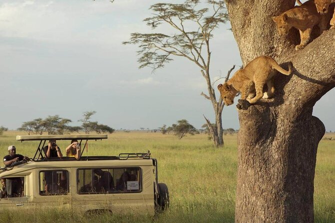 3 Days Safari to Serengeti National Park & Ngorongoro Crater in Tanzania - From Arusha to the Serengeti plains