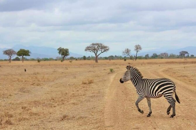 3 Days Selous (Nyerere National Park) - What the $850 price really includes