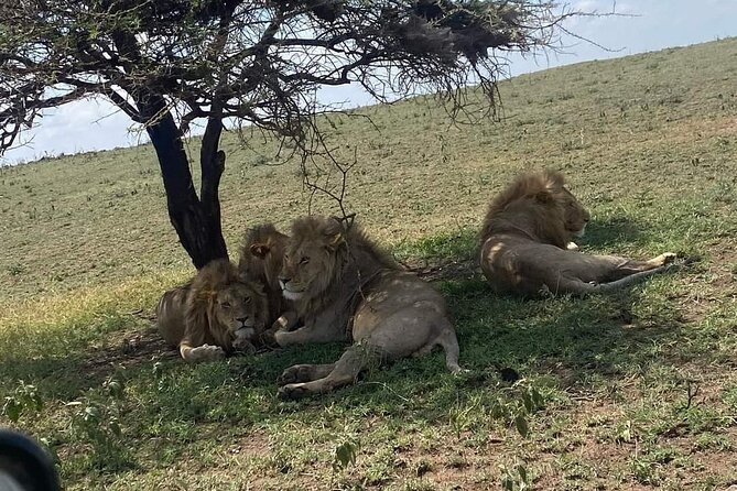 3 Days Selous (Nyerere National Park) - The guide can make or break the three days