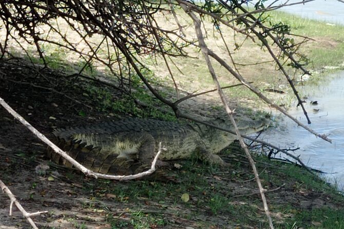3 Days Selous (Nyerere National Park) - Who will enjoy this safari most