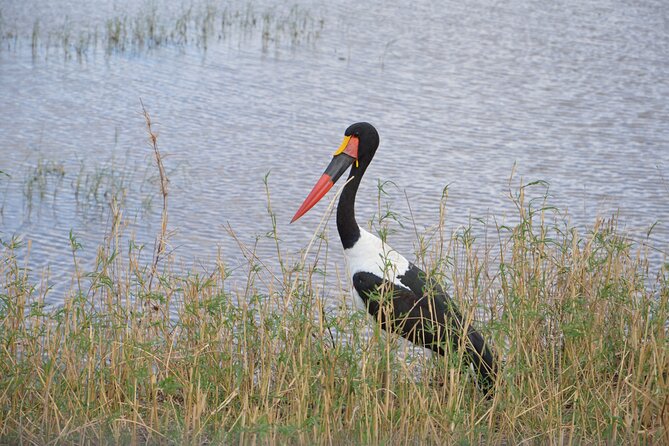 3 Days Serengeti & Ngorongoro Group Camping Safari - Why this short safari covers so much