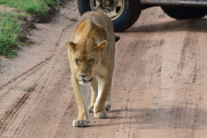 3 Days Serengeti & Ngorongoro Tour - What the $800 price really covers