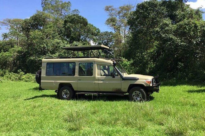 3 Days Serengeti & Ngorongoro Tour - Starting at Kilimanjaro Airport after midnight
