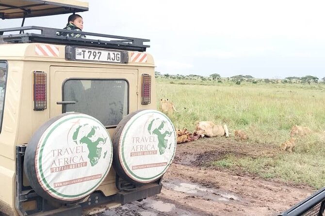 3 Days Small Group Safari to Serengeti NP and Ngorongoro Crater Tour in Tanzania - Day two: a final Serengeti drive toward Ngorongoro