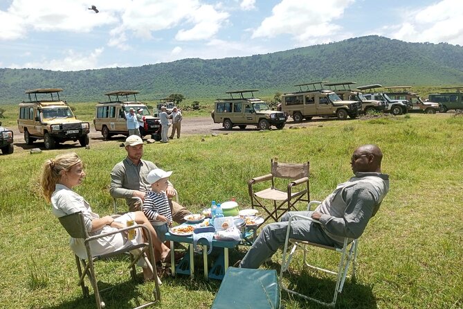 3 Days Small Group Safari to Serengeti NP and Ngorongoro Crater Tour in Tanzania - Small-group travel and the role of the guide