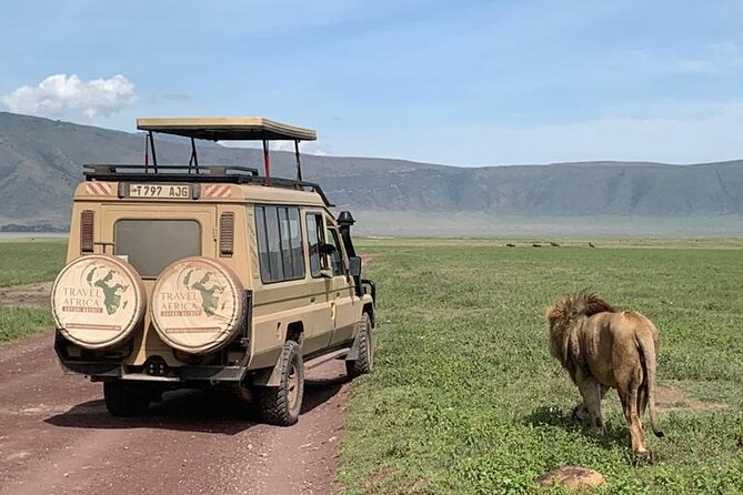 3 Days Small Group Safari to Serengeti NP and Ngorongoro Crater Tour in Tanzania - Seronera Valley and the search for predators