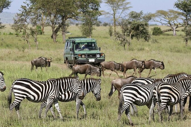 4-Day fascinating Camping Safari in Tanzania - Camping, meals, and everyday comfort