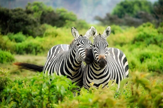 4-Day fascinating Camping Safari in Tanzania - The guide can make or break the experience